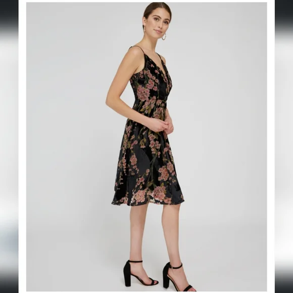 NWT Dex XS Velvet Burnout Dress, wrap style, midi length, with floral design - Picture 6 of 14